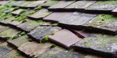 Luffield Abbey roof repair costs